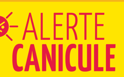 Canicule-Report du DNB