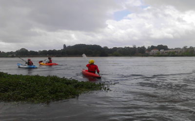 Sortie & excursion en Kayak !